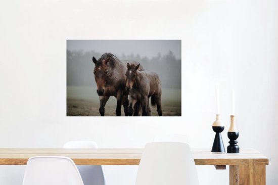 Quarter horse et poulain marchent vers la caméra 90x60 cm