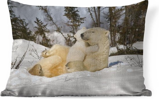 Sierkussen Animal Families Indoor - Ours polaire avec petit câlin - 60x40  cm - Coussin... | bol.com
