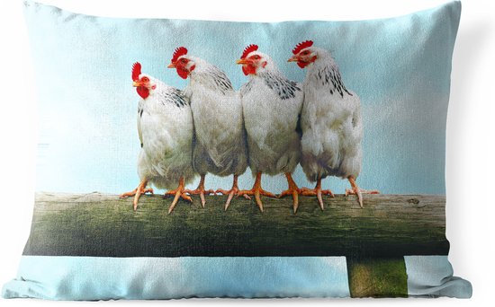 Buitenkussens - Tuin - Vier Kippen op stok - 50x30 cm