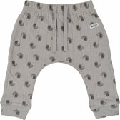 Lodger Baby Broeken maat 62 - Jogger - 100% Katoen - Hydrofiel - Perfecte Pasvorm - Elastische Taille - Oeko-Tex - 2-4M - Grijs