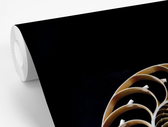 Symbole Yin et Yang de fotobehang escargot