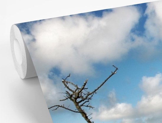 Mur de vinyle , Papier peint photo - Un Hunebed en Irlande largeur 600 cm x hauteur 400 cm - impression photo sur fond d' écran (disponible en 7 tailles)