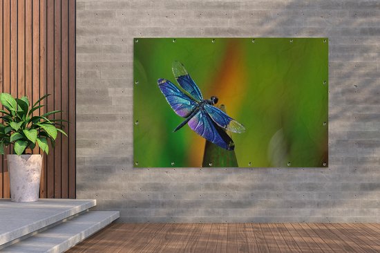 Affiche jardin Libellule - Une libellule bleue 180x120 cm - Toile jardin/Toile extérieur/ Peintures pour l'extérieur (décoration jardin) XXL / Groot format !