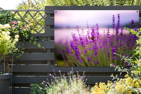 Affiche de jardin Lavande (2) - Lavande avec toile en vrac 120x80 cm avec l'affiche de jardin - Toile de jardin / Toile d'extérieur / Peintures pour l'extérieur (décoration de jardin)