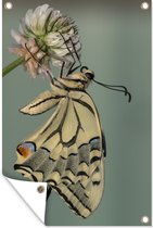Tuinposter - Tuindoek - Tuinposters buiten - Close-up van een koninginnenpage vlinder - 80x120 cm - Tuin