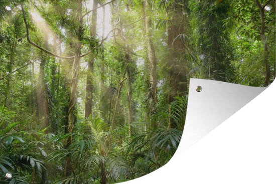 Tuinposter Licht in het woud - 120x80 cm - Tuin