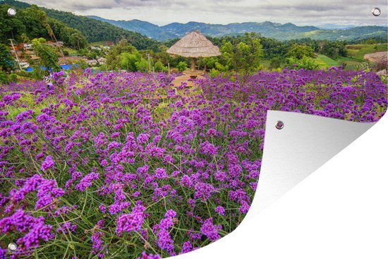 Affiche de jardin Paysages de fleurs de verveine violette en Thaïlande  120x80 cm -... | bol.com