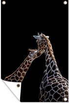 Muurdecoratie Moeder en baby giraffe voor zwarte achtergrond - 120x180 cm - Tuinposter - Tuindoek - Buitenposter