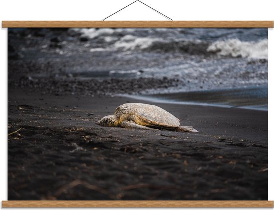 Schoolplaat – Uitgeputte Schildpad op het Strand - 90x60cm Foto op Textielposter (Wanddecoratie op Schoolplaat)