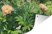 Affiche de jardin fleur de pivoine toile en vrac 180x120 cm - Toile de jardin / Toile d'extérieur / Peintures d'extérieur (décoration de jardin) XXL / Groot format!