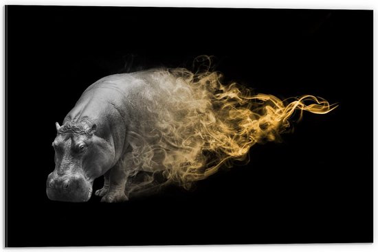 Dibond - Zwart Wit Foto met Gouden Rook bij Nijlpaard - 60x40cm Foto op Aluminium (Met Ophangsysteem)