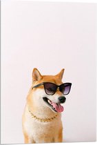 Acrylglas - Stoere Hond met Zonnebril en Gouden Ketting - 60x90cm Foto op Acrylglas (Met Ophangsysteem)