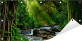 Tuinposter Jungle 100 x 50 cm incl. Metalen ringen - (Buitenposter - Tuindoek - Buitencanvas - Schilderijen voor buiten - tuin decoratie)