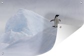 Tuinposter - Tuindoek - Tuinposters buiten - Pinguïn - IJs - Winter - 120x80 cm - Tuin