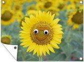 Affiche de jardin Happy plants - Tournesol avec yeux affiche de jardin toile en vrac 80x60 cm - Toile de jardin / Toile d'extérieur / Peintures pour l'extérieur (décoration de jardin)