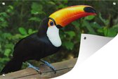 Un toucan assis sur un tronc d'arbre Affiche de jardin 120x80 cm - Toile de jardin / Toile d'extérieur / Peintures d'extérieur (décoration de jardin)