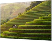 Wandpaneel Groene terras rijstvelden  | 100 x 70  CM | Zilver frame | Akoestisch (50mm)