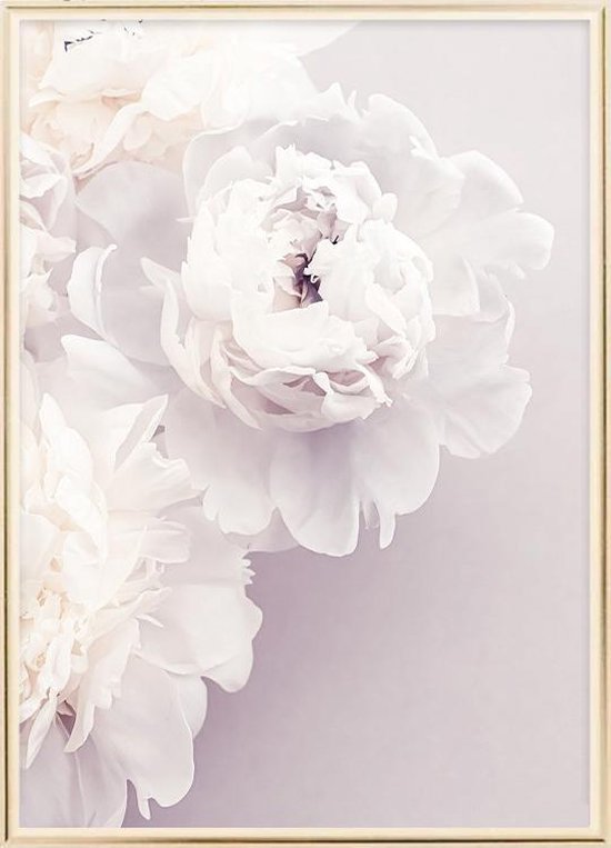 Affiche Avec Cadre En Métal Doré - Affiche Fleurs De Pivoine (50x70cm)