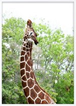 Poster Met Witte Lijst - Elegante Giraffe Poster