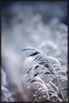 JUNIQE - Poster met kunststof lijst Frosty Morning 5 -13x18 /Blauw &