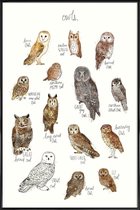 JUNIQE - Poster met kunststof lijst Uilen illustratie -13x18 /Bruin &