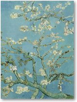 Amandelbloesem - Vincent van Gogh - 30x40 Canvas Staand - Meesterwerken - Natuur - Bloemen - Vincent van Gogh
