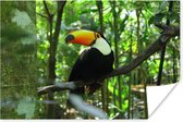 Poster Toucan en arbre papier 180x120 cm - Tirage photo sur Poster (décoration murale salon / chambre) / Poster Animaux sauvages XXL / Groot format!