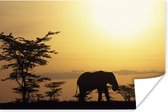 Poster Silhouet olifant op de savanne - 90x60 cm
