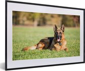 Fotolijst incl. Poster - Duitse herdershond ligt op het gras - 60x40 cm - Posterlijst