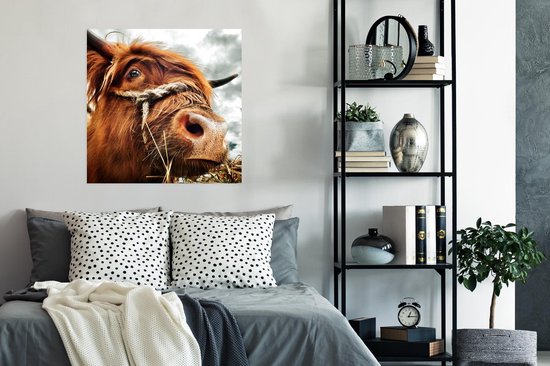 Poster Schotse Hooglander - Koeienkop - 75x75 cm
