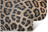 Sticker Muursticker Imprimé panthère - Imprimé léopard - 60x40 cm - film autocollant - sticker mural repositionnable