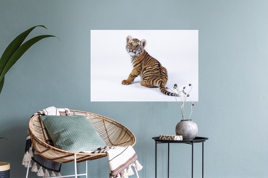 Sticker Muursticker Tigre sur fond blanc - Bébé tigre assis sur fond blanc - 60x40 cm - Film adhésif autocollant - Sticker mural repositionnable