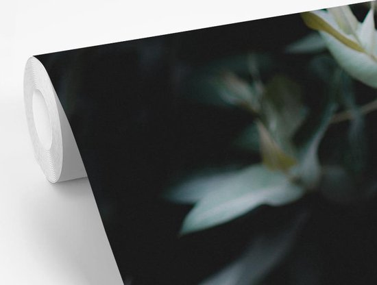 Papier peint Papier peint photo en vinyle - Branches d'eucalyptus sur fond sombre largeur 330 cm x hauteur 220 cm - Tirage photo sur papier peint (disponible en 7 tailles)