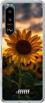 6F hoesje - geschikt voor Sony Xperia 5 III -  Transparant TPU Case - Sunset Sunflower #ffffff