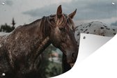Tuindecoratie Paarden - Gras - Dieren - 60x40 cm - Tuinposter - Tuindoek - Buitenposter