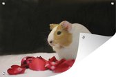 Muurdecoratie Lieve cavia - 180x120 cm - Tuinposter - Tuindoek - Buitenposter