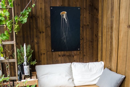 Méduse sur fond sombre affiche de jardin toile en vrac 60x90 cm - Toile de jardin / Toile d'extérieur / Peintures pour l'extérieur (décoration de jardin)