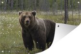 Tuinposter - Tuindoek - Tuinposters buiten - Bruine beer in het bos - 120x80 cm - Tuin