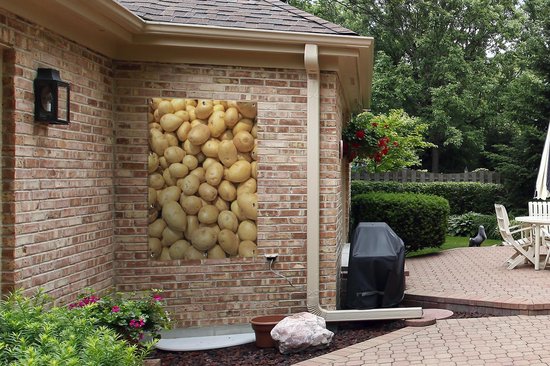 Pommes de terre pelées en tas dans les basses terres du Chili Poster jardin 80x120 cm - Toile de jardin / Toile d'extérieur / Peintures pour l'extérieur (décoration de jardin)
