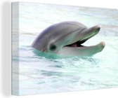 Toile Peinture Dauphin - Water - Mer - 60x40 cm - Décoration murale