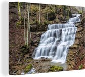 Une cascade dans le parc national Foreste Casentinesi en Italie 80x60 cm - Tirage photo sur toile (décoration murale salon / chambre)