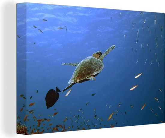 Coussin Thème Mer - Tortue, Poissons et Coraux