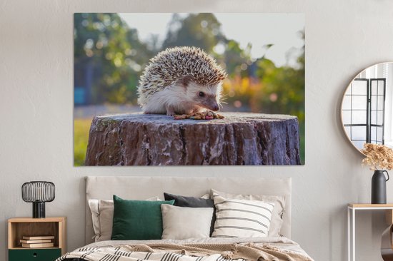 Tableau sur toile Manger un hérisson - 150x100 cm - Décoration murale