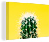 Cactus sur toile jaune 2cm