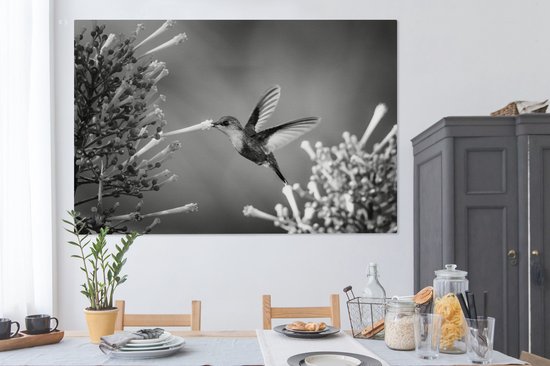 Nymphe des bois couronnée violette dans le parc national du Costa Rica en toile noir et blanc 2cm 150x100 cm - Tirage photo sur toile (Décoration murale salon / chambre) / Animaux sauvages Peintures sur toile