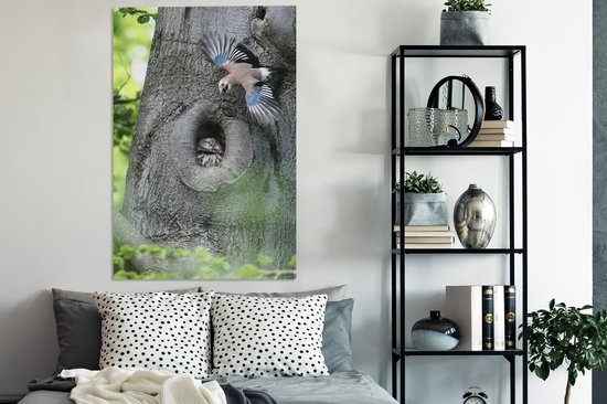 Jay avec un hibou 90x140 cm - Tirage photo sur toile (Décoration murale salon / chambre)