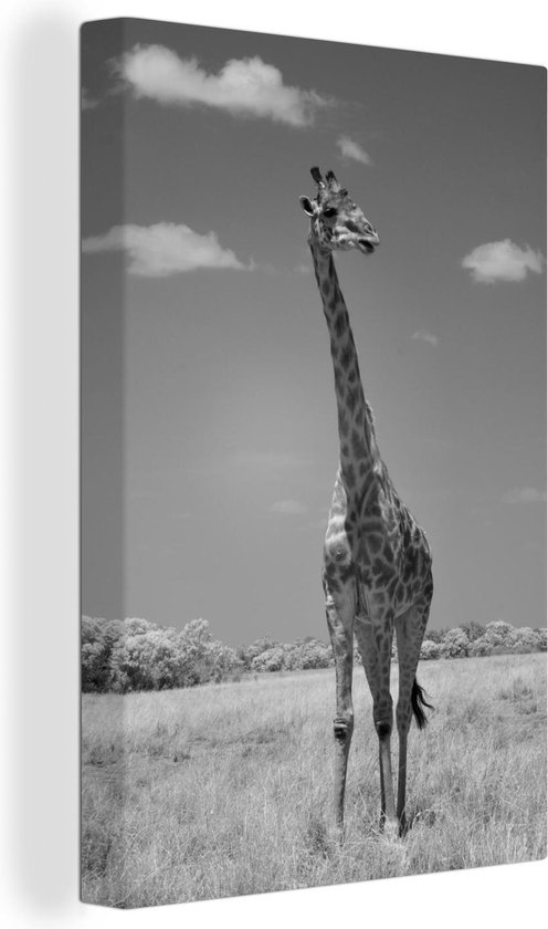 Canvas Schilderij Giraffe op veld in zwart wit - 80x120 cm - Wanddecoratie