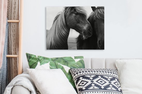 Gros plan de deux chevaux (noir et blanc) sur toile 2cm 40x30 cm - petit - Tirage photo sur toile (Décoration murale salon / chambre) / Animaux sauvages Peintures sur toile
