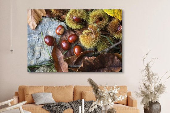 Canvas schilderij 150x100 cm - Wanddecoratie Zoete tamme kastanjes liggend op de herfstgrond - Muurdecoratie woonkamer - Slaapkamer decoratie - Kamer accessoires - Schilderijen
