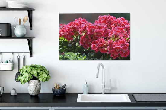 Fleurs de géranium dans un jardin Toile 60x40 cm - Tirage photo sur toile (Décoration murale salon / chambre)